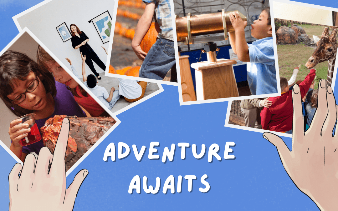 Embrace Adventure and Field Trips in Your Homeschool Plan