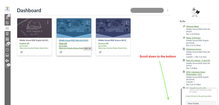 Canvas screenshot showing View Grades button at the bottom of the page 
